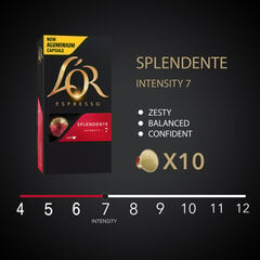 Кофе в капсулах L'OR SPLENDENTE, 10 капсул с кофейными аппаратами Nespresso® цена и информация | Кофе, какао | 220.lv