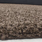 Paklājs Ayyildiz Shaggy Dream Brown 4000, 200x290 cm cena un informācija | Paklāji | 220.lv