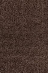 Ковер Ayyildiz Shaggy Dream Brown 4000, 60x110 см   цена и информация | Ковры | 220.lv