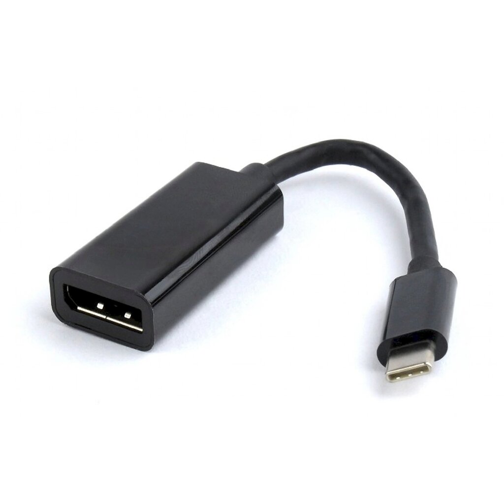 Gembird USB-C to DisplayPort video signāla pārveidotājs cena un informācija | Aksesuāri videokamerām | 220.lv