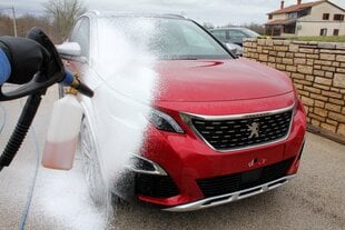 SONAX PROFILINE Acti Foam Energy, Aktīvās tīrīšanas putas, 1L cena un informācija | Auto ķīmija | 220.lv