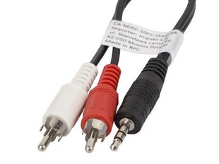 Lanberg, MiniJack 3.5 mm - 2 x RCA, 0.2 m цена и информация | Кабели и провода | 220.lv