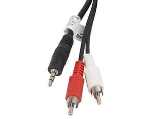 Lanberg, MiniJack 3.5 mm - 2x RCA, 5 m цена и информация | Кабели и провода | 220.lv