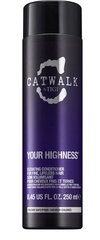 Бальзам для волос Tigi Catwalk Your Highness, 250 мл цена и информация | Бальзамы, кондиционеры | 220.lv