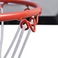 Mazais Basketbola Groza Komplekts ar Vairogu, Bumbu, Pumpi, Grozu цена и информация | Basketbola bumbas | 220.lv