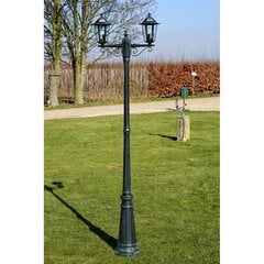 Наружный светильник, 215 см цена и информация | Уличное освещение | 220.lv