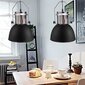 vidaXL griestu lampas, 2 gab., regulējams augstums, metāls, melnas цена и информация | Lustras | 220.lv