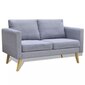vidaXL dīvānu komplekts, 2 dīvāni, gaiši pelēks audums цена и информация | Dīvānu komplekti | 220.lv