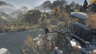 Assassin's Creed Rogue Remastered, PS4 цена и информация | Компьютерные игры | 220.lv