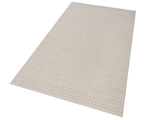 Northrugs paklājs Meadow Coin 160x230 cm cena un informācija | Paklāji | 220.lv