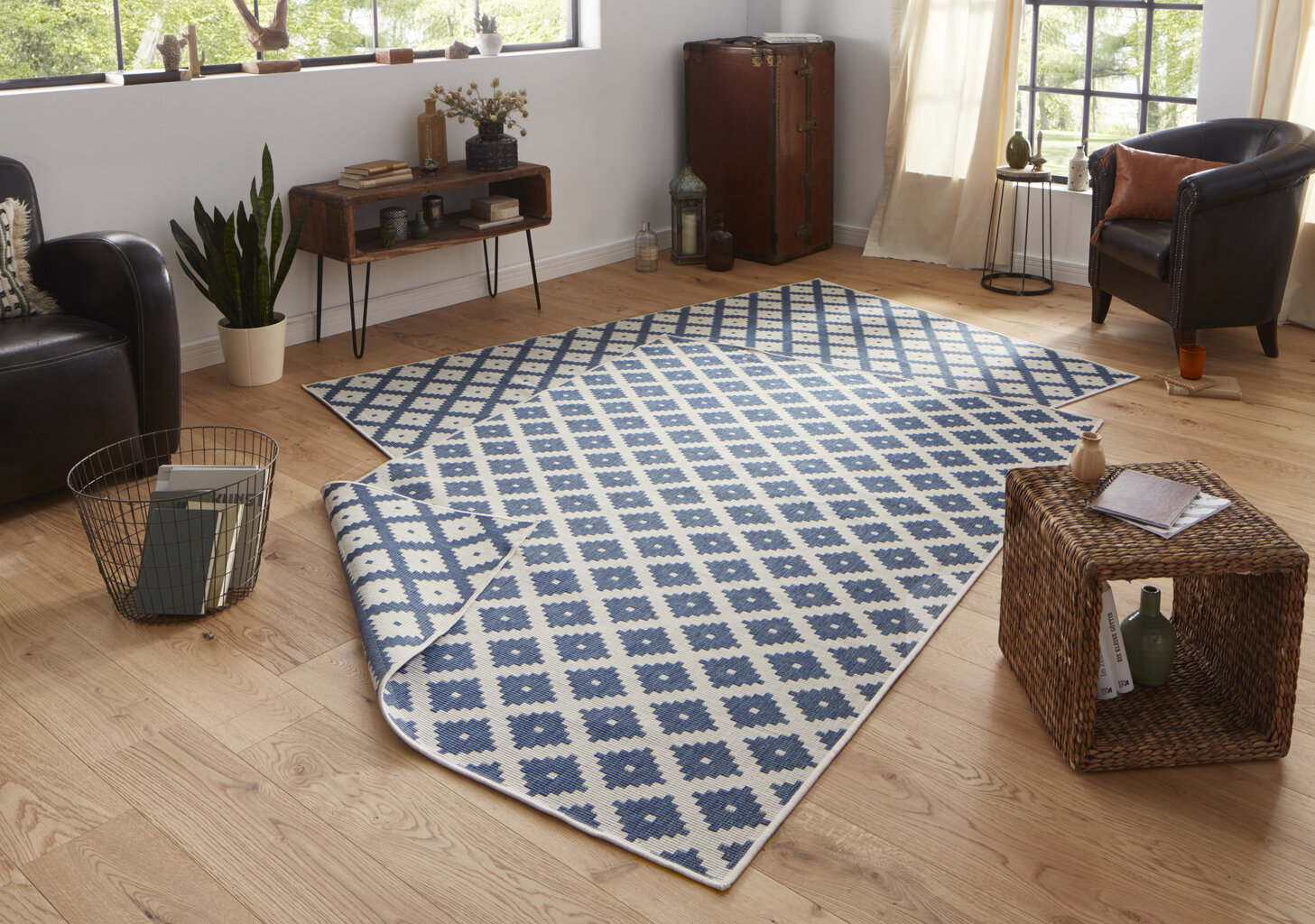 Northrugs paklājs Twin Nizza 160x230 cm cena un informācija | Paklāji | 220.lv