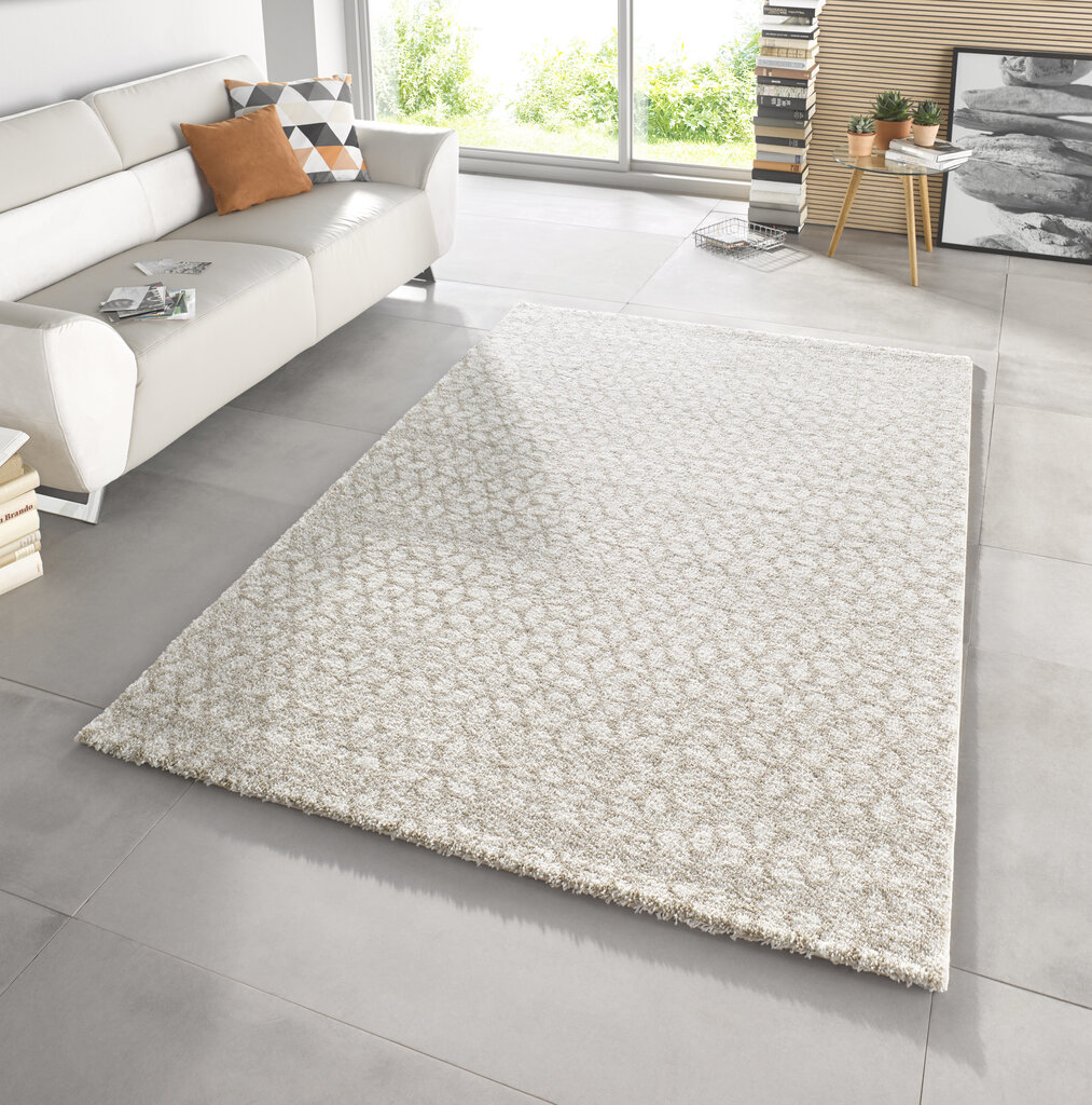 Mint Rugs paklājs Impress 120x170 cm cena un informācija | Paklāji | 220.lv