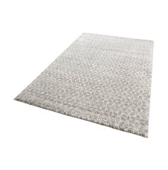 Mint Rugs paklājs Impress 120x170 cm cena un informācija | Paklāji | 220.lv