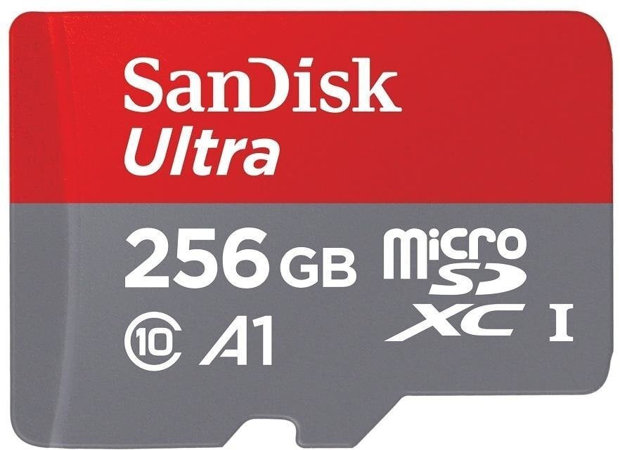 MEMORY MICRO SDXC 256GB UHS-I/W/A SDSQUAR-256G-GN6MA SANDISK цена и информация | Atmiņas kartes mobilajiem telefoniem | 220.lv