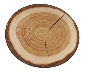 Hanse Home paklājs Tree Trunk Brown, 133x133 cm цена и информация | Ковры | 220.lv