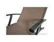 Sauļošanās gulta Relax, brūna cena un informācija | Sauļošanās krēsli | 220.lv