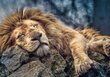 Puzle Trefl "Lauva miegā", 1000 d. cena un informācija | Puzles, 3D puzles | 220.lv