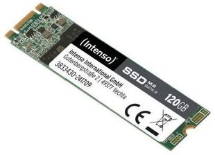 Intenso High Performance 120GB SATA3 (3833430) cena un informācija | Iekšējie cietie diski (HDD, SSD, Hybrid) | 220.lv