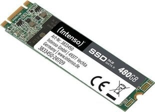 Cietais Disks INTENSO IAIDSO0197 480 GB SSD 2.5" SATA III cena un informācija | Iekšējie cietie diski (HDD, SSD, Hybrid) | 220.lv