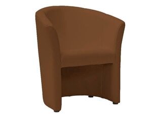 Кресло Tm-1, светло-коричневый цена и информация | Кресла для отдыха | 220.lv