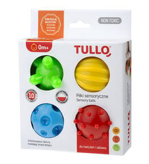 Bērnu sensorās sistēmas attīstībai Tullo, 4.gab, 459 cena un informācija | Rotaļlietas zīdaiņiem | 220.lv