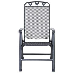 Складной наружный стул Toulouse 58x64, серый цена и информация | Садовые стулья, кресла, пуфы | 220.lv