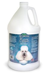 Bio Groom šampūns Econogroom, 3,8 l cena un informācija | Kosmētiskie līdzekļi dzīvniekiem | 220.lv