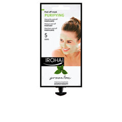 Очищающая маска для лица Iroha Relax, с зеленым чаем и листьями гинкго, 25 мл цена и информация | Маски для лица, патчи для глаз | 220.lv
