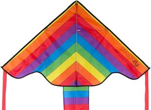 Gaisa pūķis Dragon Fly® Rainbow cena un informācija | Ūdens, smilšu un pludmales rotaļlietas | 220.lv