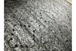 Paklājs Hamptons 03 Grey, 80x150 cm cena un informācija | Paklāji | 220.lv