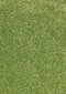 Hanse Home paklāju komplekts Nasty Green, 3 gab. cena un informācija | Paklāji | 220.lv