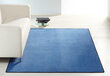 Paklājs Hanse Home Nasty Blue, 80x150 cm цена и информация | Paklāji | 220.lv