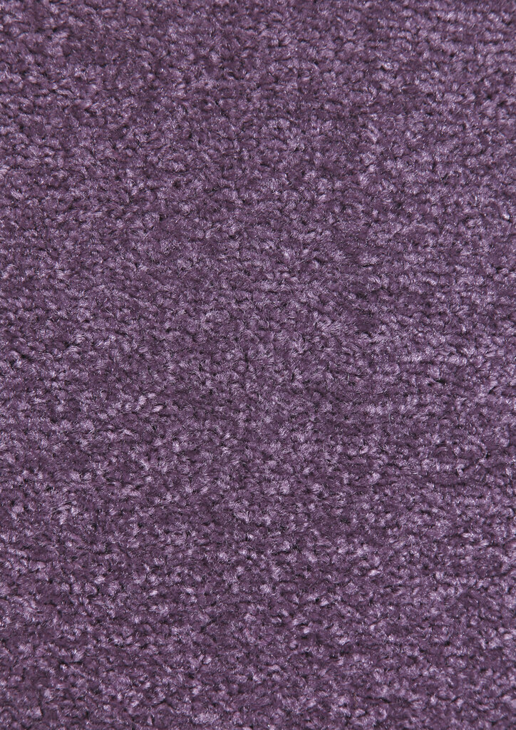 Hanse Home paklājs Nasty Purple, 80x150 cm cena un informācija | Paklāji | 220.lv