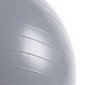 Vingrošanas bumba Spokey Fitball III 65 cm, pelēka cena un informācija | Vingrošanas bumbas | 220.lv