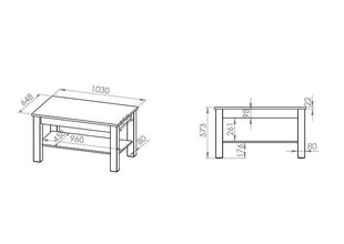 Galdiņš ST 10301-001, ozols цена и информация | Журнальные столики | 220.lv