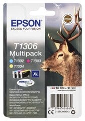 Epson DURABrite Ultra Ink  T1306 Cartrid цена и информация | Картриджи для струйных принтеров | 220.lv