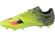 Futbola apavi Adidas Messi 15.2 FG/AG цена и информация | Futbola apavi | 220.lv