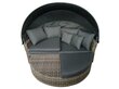 Gulta/dīvāns Patio Gustave, brūns/pelēks цена и информация | Sauļošanās krēsli | 220.lv