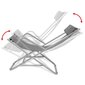 vidaXL atgāžami pludmales krēsli, 2 gab., tērauds, pelēki cena un informācija | Sauļošanās krēsli | 220.lv