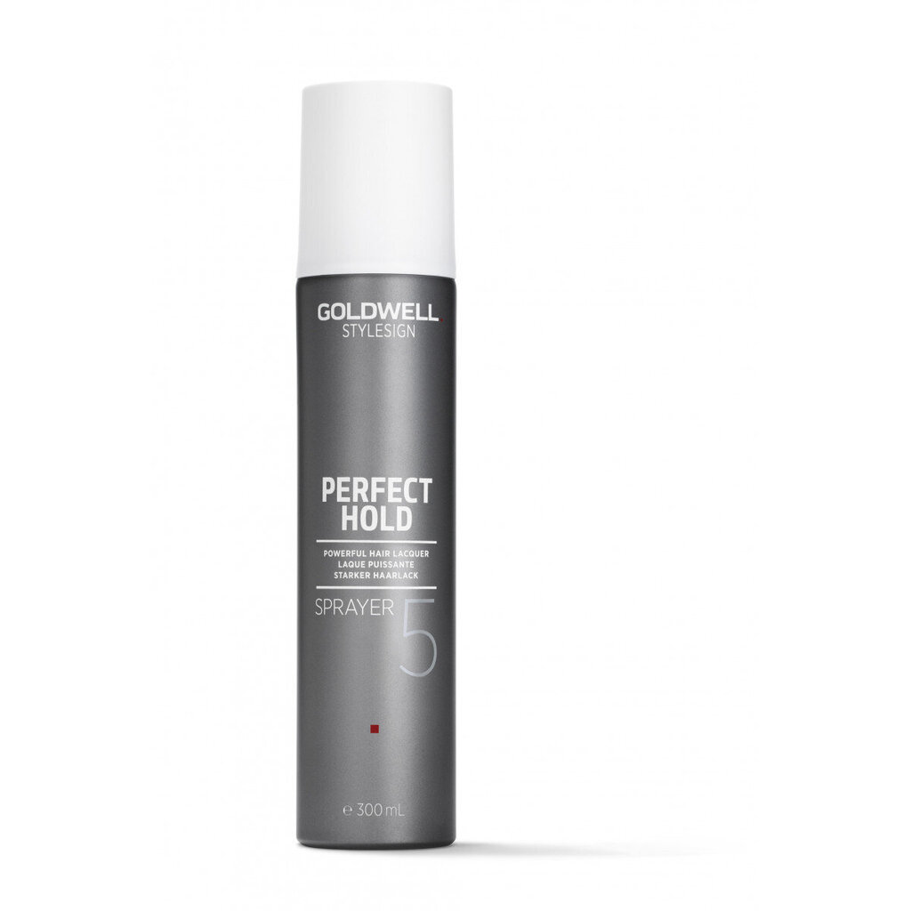 Matu veidošanas līdzeklis Goldwell Extra Strong Hairspray StyleSign Perfect Hold ( Hair spray) 500 ml цена и информация | Matu veidošanas līdzekļi | 220.lv