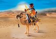 Konstruktors 5389 PLAYMOBIL® History, Ēģiptes karavīrs un kamielis цена и информация | Konstruktori | 220.lv