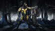 PS4 Mortal Kombat XL cena un informācija | Datorspēles | 220.lv