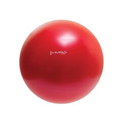 Гимнастический мяч HMS YB01 65 см с насосом, розовый цена и информация | Гимнастические мячи | 220.lv