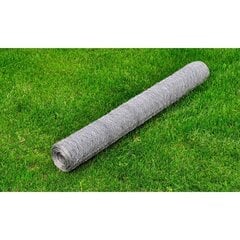 Galvanizuotas vielinis tinklas, 75 cm x 25 m cena un informācija | Žogi un piederumi | 220.lv