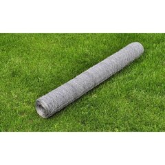 Galvanizuotas vielinis tinklas, 1 m x 25 m цена и информация | Заборы и принадлежности к ним | 220.lv