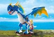 Konstruktors 9247 PLAYMOBIL® Dragons, Astrid & Stormfly cena un informācija | Konstruktori | 220.lv