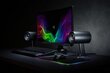 Razer RZ05-02450100-R3G1 цена и информация | Skaļruņi | 220.lv