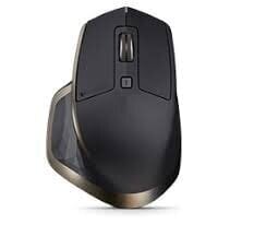 Logitech 910-005213, melns/zeltains цена и информация | Мыши | 220.lv