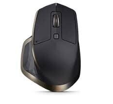 Logitech 910-005213, melns/zeltains цена и информация | Peles | 220.lv