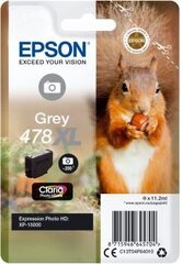 Картридж с оригинальными чернилами Epson C13T04F64010 Серый цена и информация | Картриджи для струйных принтеров | 220.lv